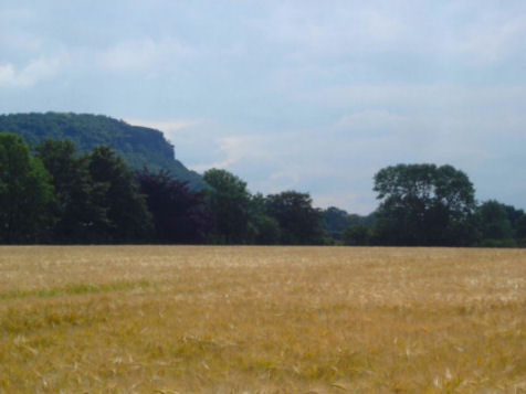 Helsby Hillfort